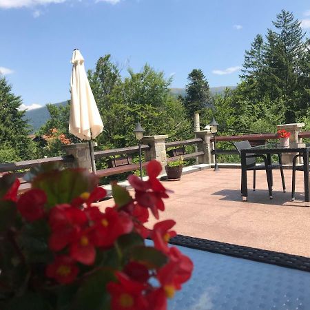 Hotel Vila Terase Sinaia Esterno foto