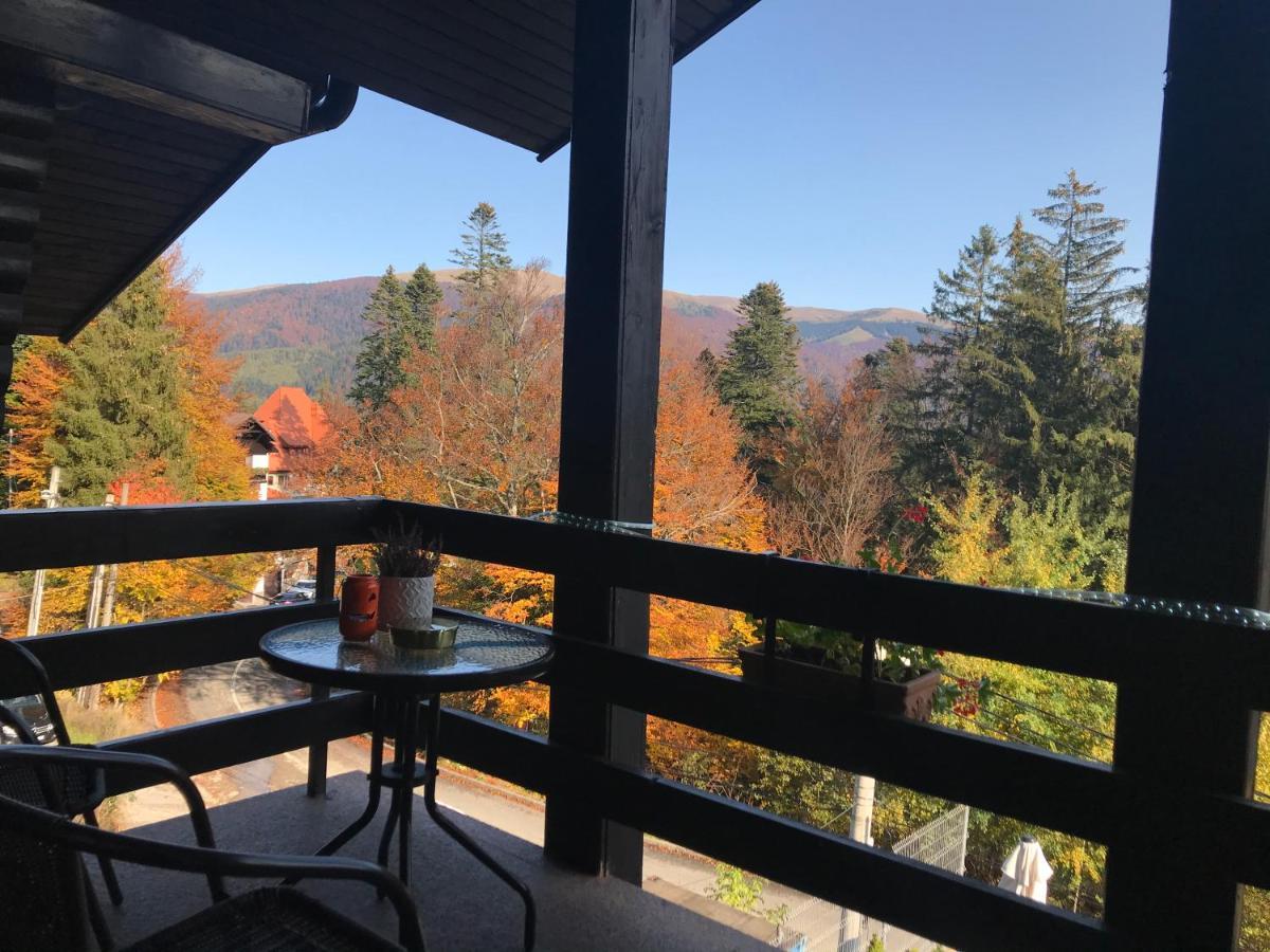 Hotel Vila Terase Sinaia Esterno foto