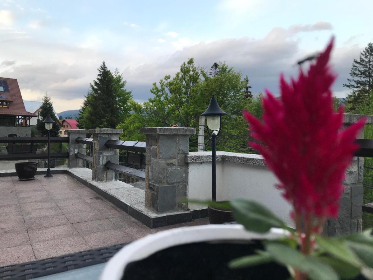 Hotel Vila Terase Sinaia Esterno foto