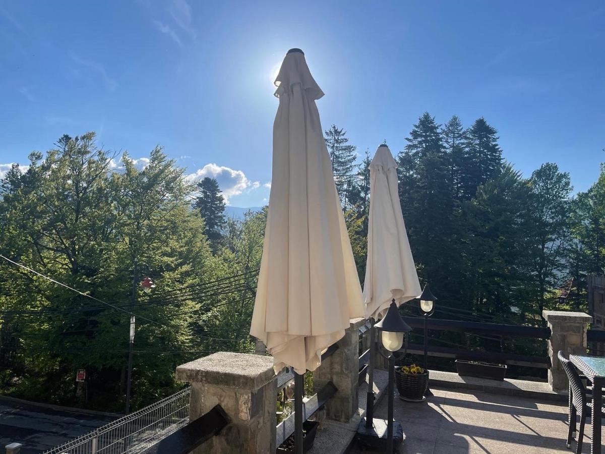 Hotel Vila Terase Sinaia Esterno foto