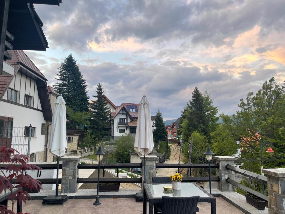 Hotel Vila Terase Sinaia Esterno foto