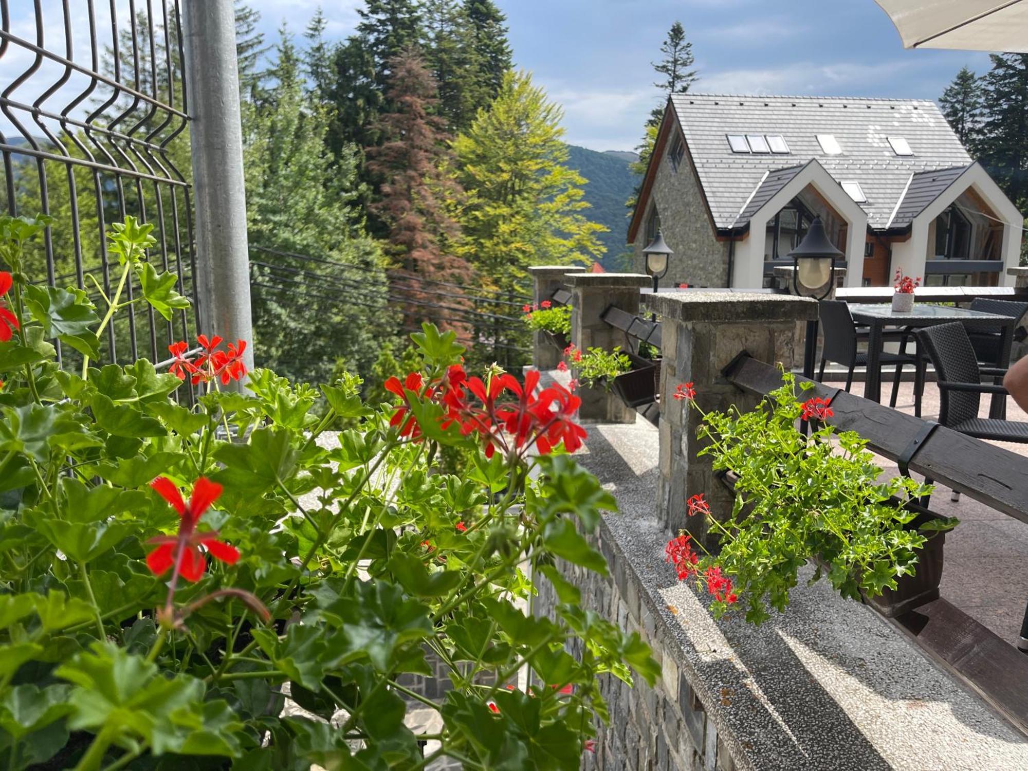 Hotel Vila Terase Sinaia Esterno foto