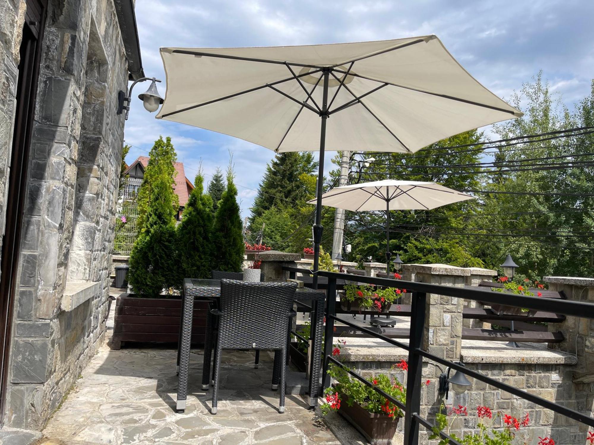 Hotel Vila Terase Sinaia Esterno foto