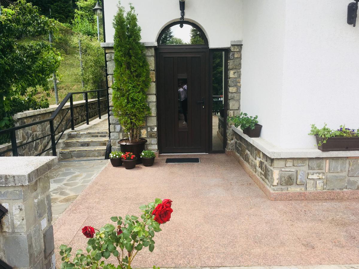 Hotel Vila Terase Sinaia Esterno foto