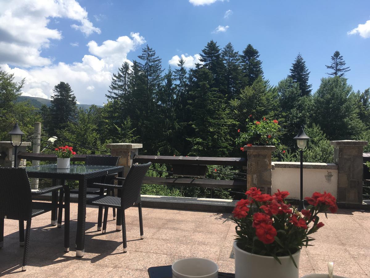 Hotel Vila Terase Sinaia Esterno foto
