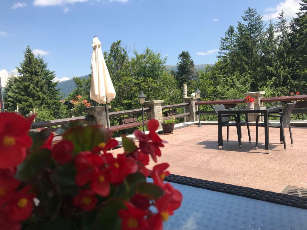Hotel Vila Terase Sinaia Esterno foto